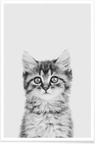 JUNIQE - Poster Kitten Classic -20x30 /Wit & Zwart