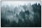 Misty Forest - Foto op Akoestisch paneel - 150 x 100 cm