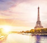Eiffeltoren aan zonnige oevers van de Seine in Parijs - Fotobehang (in banen) - 450 x 260 cm