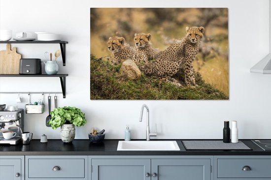 Tableau sur toile Léopard - Forêt - Animal - 140x90 cm - Décoration murale