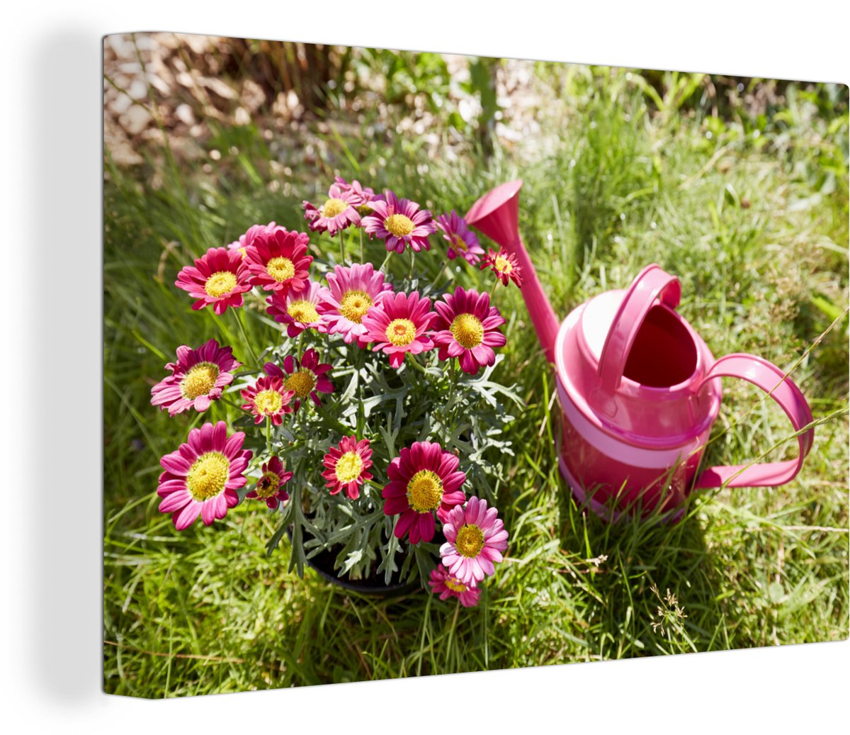 Canvas Schilderij Bloemen - Gieter - Roze - 120x80 cm - Wanddecoratie
