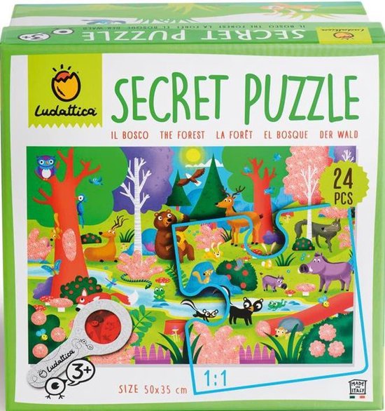 Ludattica Puzzles: BOS - Puzzle secret 18x18x10.5cm, 24 pièces, 35x50cm,  avec loupe... | bol.com