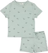 Trixie Pyjama Mountains Kort Junior Katoen Lichtgroen Maat 104