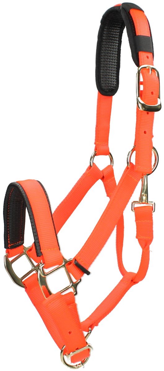 Shires Halster Shires Nylon Topaz Oranje