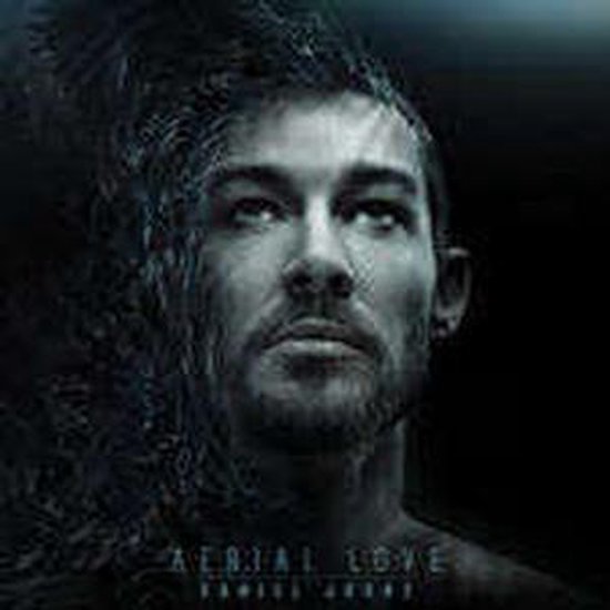 Albumhoes 'Aerial Love' van Daniel Johns, met een portret van een man wiens haar vervaagt in de lucht.