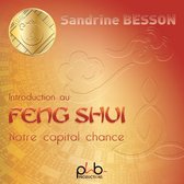 Sandrine Besson - Notre Capital Chance (CD)