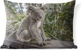 Buitenkussens - Tuin - Een koala die op een plank zit - 50x30 cm