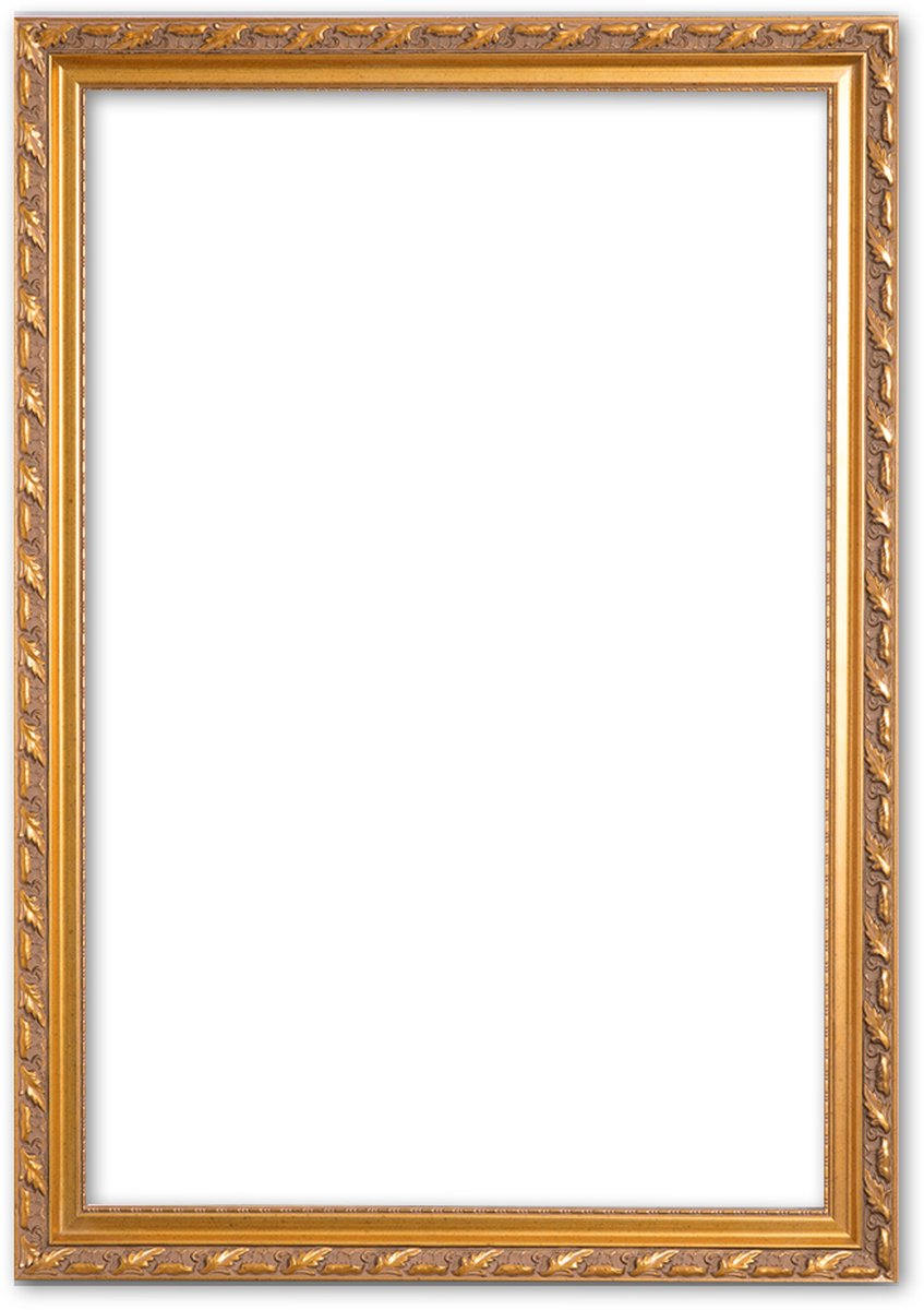nog een keer Rimpels fluweel Barok Lijst 70x100 cm Goud - Abigail | bol.com