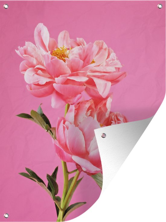 Hout - Roze Pioenrozen in een Vaas - 100x100 cm - 9 mm dik - Foto op