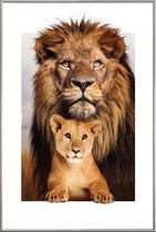 JUNIQE - Poster met kunststof lijst LION FAMILY -30x45 /Bruin & Oranje