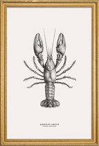 JUNIQE - Poster met houten lijst American Lobster -13x18 /Grijs &