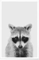JUNIQE - Poster Raccoon Classic -20x30 /Wit & Zwart