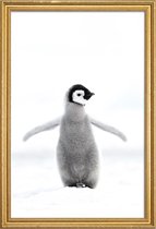 JUNIQE - Poster met houten lijst Lone Penguin -30x45 /Grijs & Wit