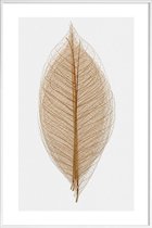 JUNIQE - Poster in kunststof lijst Skeleton of a Leaf II -30x45 /Bruin
