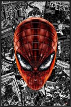 JUNIQE - Poster met kunststof lijst The Spider-Man - Een stripheld
