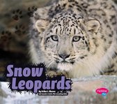 Wildcats - Snow Leopards