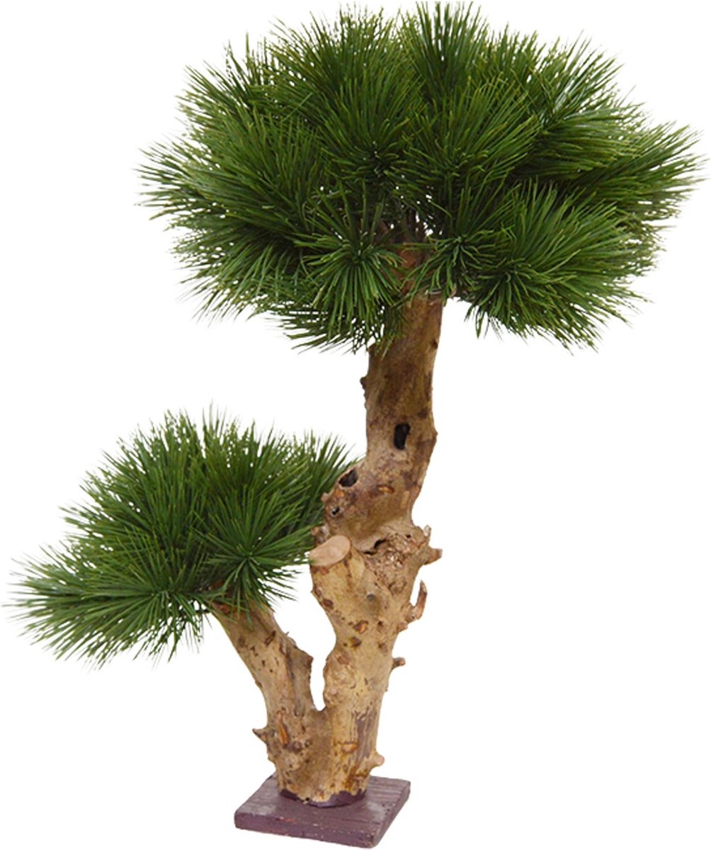 maxifleur Kunstplanten Pinus Bonsai kunstboom op voet 55cm - UV bestendig Groen