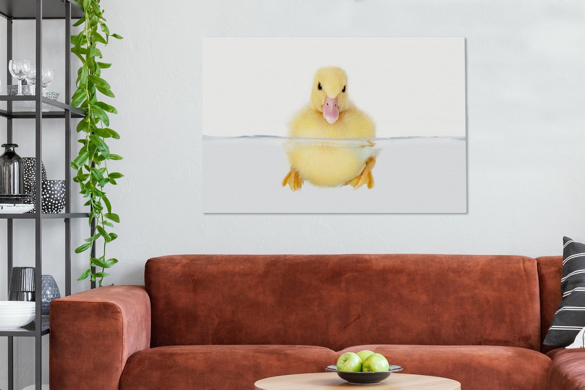 Canvas schilderij 140x90 cm - Wanddecoratie Zwemmende baby eend - Muurdecoratie woonkamer - Slaapkamer decoratie - Kamer accessoires - Schilderijen — afbeelding 5