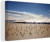Canvas Schilderij Bonte strandlopers op de kust - 120x80 cm - Wanddecoratie