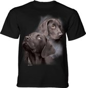 T-shirt Black Labs M