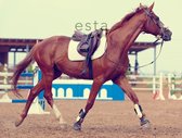 ESTAhome fotobehang paard bruin - 158806 - 232.5 cm x 2.79 m