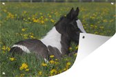 Tuinposter - Tuindoek - Tuinposters buiten - Paarden - Bloemen - Geel - 120x80 cm - Tuin