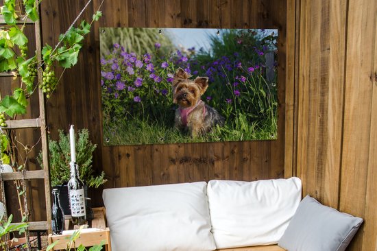 Yorkshire parmi les fleurs affiche de jardin toile en vrac 120x80 cm - Toile de jardin / Toile d'extérieur / Peintures pour l'extérieur (décoration de jardin)