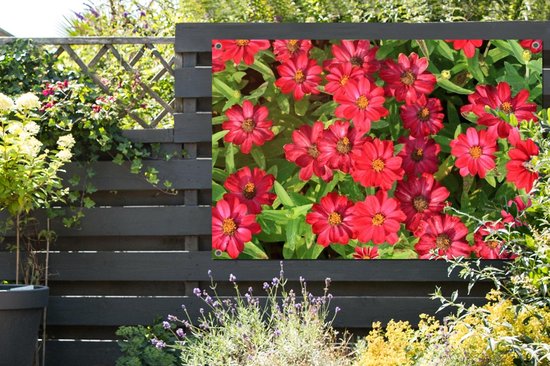 Affiche de jardin fleurs de zinnia rouge vif 120x80 cm - Toile de jardin / Toile d'extérieur / Peintures pour l'extérieur (décoration de jardin)