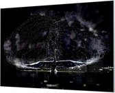 Wandpaneel Zwaan Water en Licht Spel  | 100 x 70  CM | Zwart frame | Akoestisch (50mm)