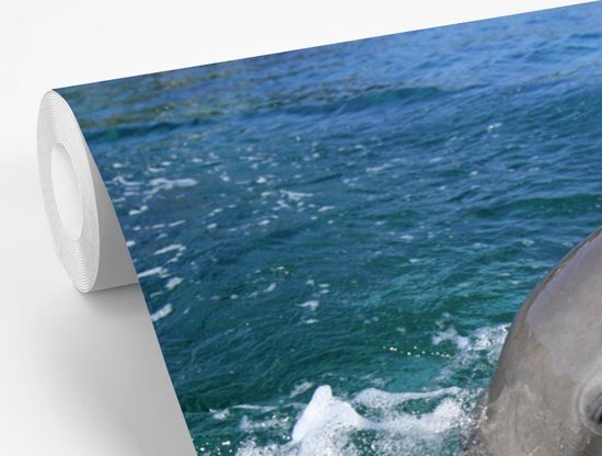 Papier peint photo peint photo vinyle - Verre curieux largeur 330 cm x hauteur 220 cm - Tirage photo sur papier peint (disponible en 7 tailles)