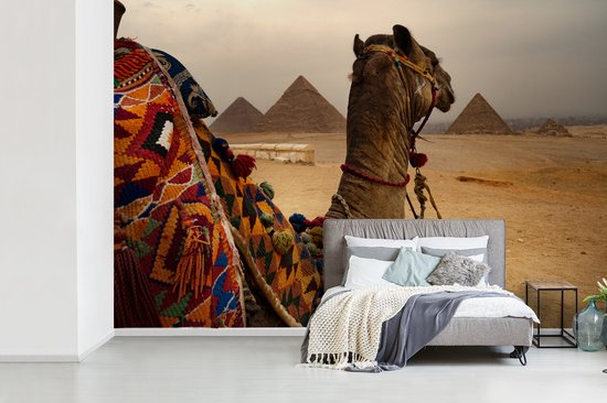 Papier peint Papier peint photo en vinyle - Chameau sur colline largeur 330 cm x hauteur 220 cm - Tirage photo sur papier peint (disponible en 7 tailles)