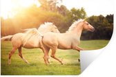 Sticker Muursticker Cheval - Deux chevaux palomino galopent dans la nature - 90x60 cm - feuille autocollante - sticker mural repositionnable