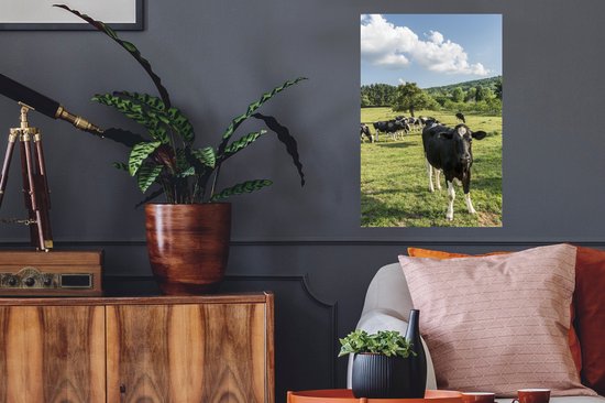 Sticker Muursticker Vache frisonne Luxurydeco - Troupeau de vaches paissant en België - 40x60 cm - Film adhésif autocollant - Sticker mural repositionnable