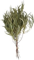 Gedroogde Eucalyptus Stammen Decoratie voor binnenhuis 5 Stuks -  -