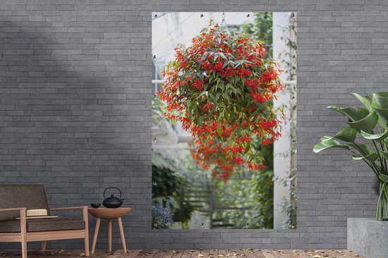 Plante à suspendre à fleurs rouges 120x180 cm XXL / Groot format!