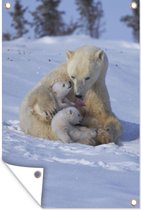 Muurdecoratie IJsbeer - Welp - Sneeuw - 120x180 cm - Tuinposter - Tuindoek - Buitenposter