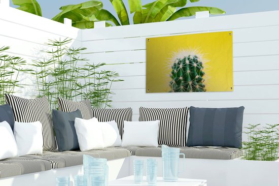 Cactus sur toile de jardin jaune affiche en vrac