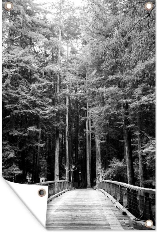 Tuinposter - Tuindoek - Tuinposters buiten - Gang door bomen in bos Big Sur in Verenigde Staten - zwart wit - 80x120 cm - Tuin