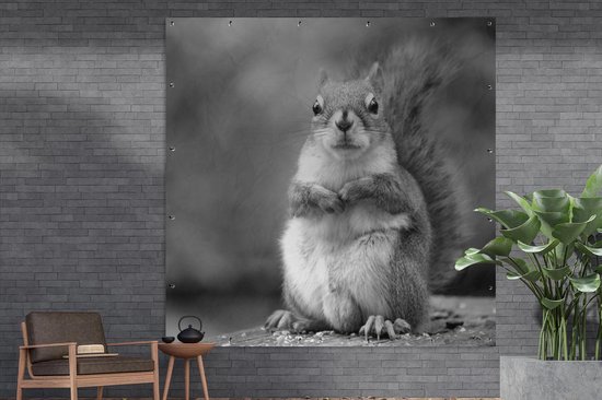 Poster Jardin écureuil vue rapprochée - noir et blanc - 200x200 cm - Toile jardin - Poster extérieur