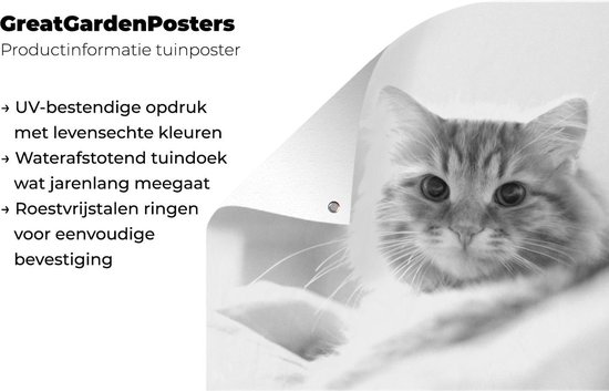 Affiche jardin - Toile Posters de jardin extérieur - Gros plan chat - noir et blanc - 120x90 cm - Jardin