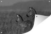 Muurdecoratie Moeder en baby zebra - zwart wit - 180x120 cm - Tuinposter - Tuindoek - Buitenposter