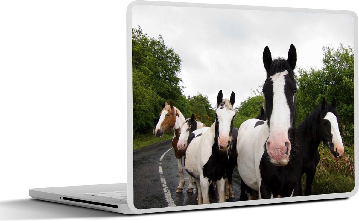 Afbeelding van product SleevesAndCases  Laptop sticker - 11.6 inch - Paarden - Tinker - Weg
