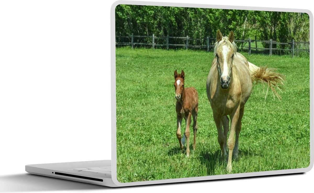 Afbeelding van product SleevesAndCases  Laptop sticker - 10.1 inch - Paard - Veulen - Dieren