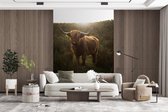 Behang - Fotobehang Schotse hooglander - Natuur - Zon - Breedte 180 cm x hoogte 220 cm