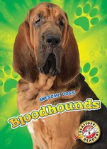 Awesome Dogs - Bloodhounds