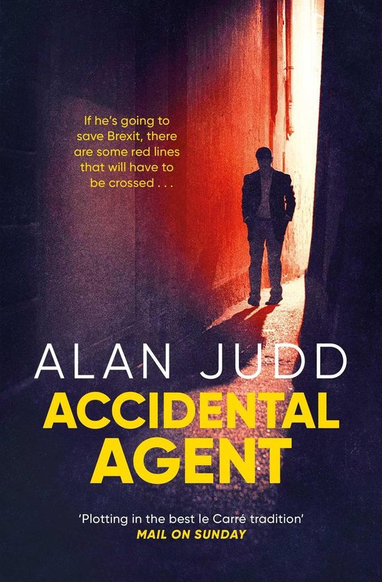 Accidental Agent - cover