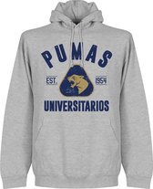 Pumas Unam Established Hoodie - Grijs - M