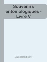 livre numérique