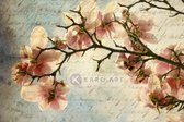 Afbeelding op acrylglas - Magnolia boomtak met een verouderd papieren effect en een oud handschrift