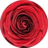 Bierviltjes onderzetters rode roos/rozen 20x stuks - Valentijn of bloemen thema
